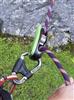 DMM BELAY MASTER 2