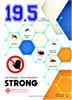 STRONG 19.5  ANTI MOSCHITO INSETTO REPELLENTE